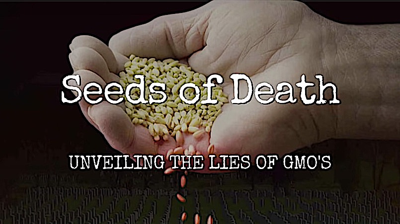 Seeds Of Death Unveiling The Lies Of Gmos Full Movie Seeds of Death: Unveiling The Lies of GMO's - Full Movie | The Great
