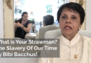 What is Your Strawman? The Slavery of Our Time by UCC Law Expert Bibi Bacchus