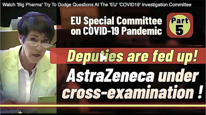 Somebody Lied And I Want To Know Who Lied - Christine Anderson MEP