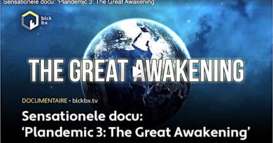 The Great Awakening