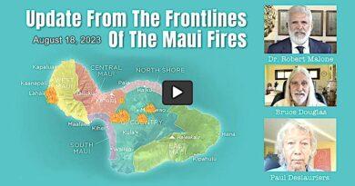 Update From The Frontlines Of The Maui Fires