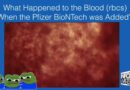 Video Clip Showing A Drop Of Pfizer mRNA Vaccine Causing Blood Clots And Loss Of Oxygen Or Hemoglobin – Dr. Richard Fleming <a href="https://thegreatdeception.is/nurses-doctors/gain-of-function-research-crimes-against-humanity-dr-richard-fleming-phd-md-jd/">PhD, MD, JD</a>