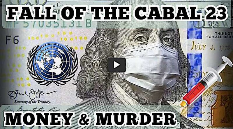 The fall of the Cabal 23 - Murder in Hospitals