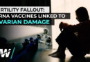 FERTILITY FALL-OUT – mRNA Vaccine Linked To Ovarian Damage