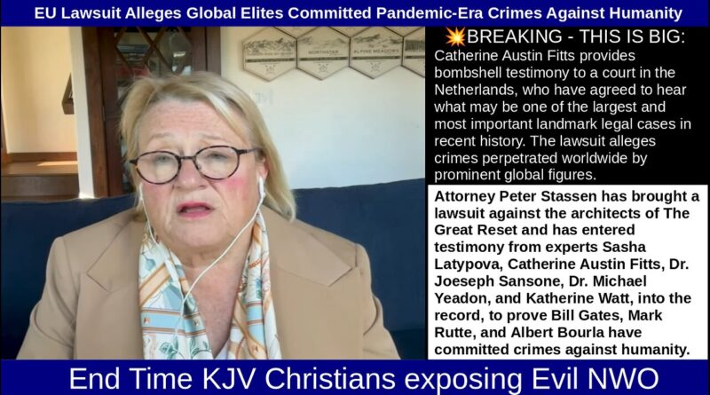 Catherine Austin Fitts Statement: The Netherlands Hearing Against Bill Gates, Albert Burla (Pfizer CEO) and Others Catherine Austin Fitts Statement: The Netherlands Hearing Against Bill Gates, Albert Burla (Pfizer CEO) and Others