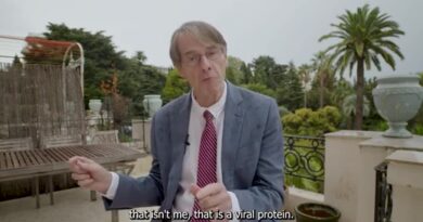 Dr Mike Yeadon – Netherlands lawsuit Testimony Dr Mike Yeadon – Netherlands lawsuit Testimony